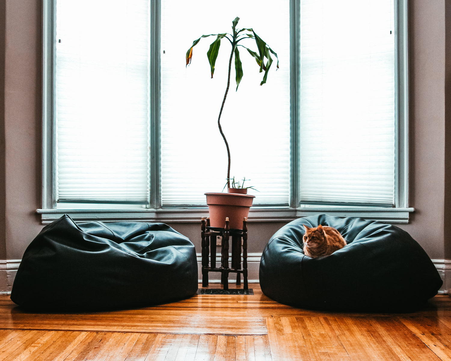 ADD.HERES DIY home decor privacy window films