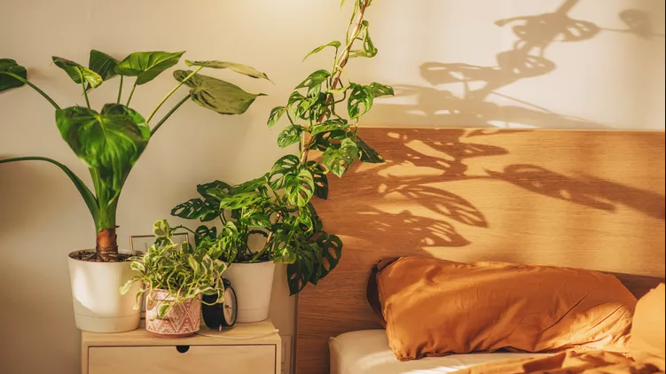 Does Window Film Block Natural Light? Understanding VLT and How Different Window Films Behave